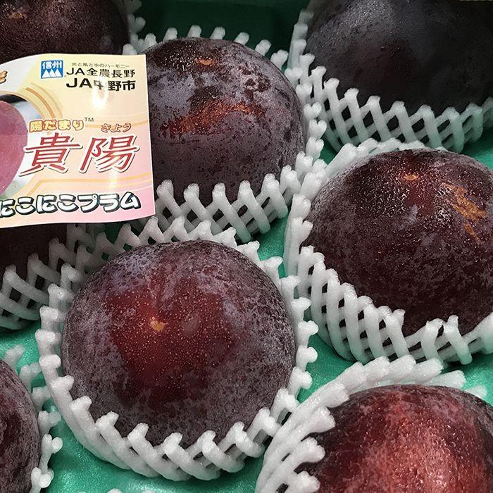 長野県産 プラム 貴陽 秀品 6〜9玉入り 約1.5kg （箱） : 生鮮卸売市場