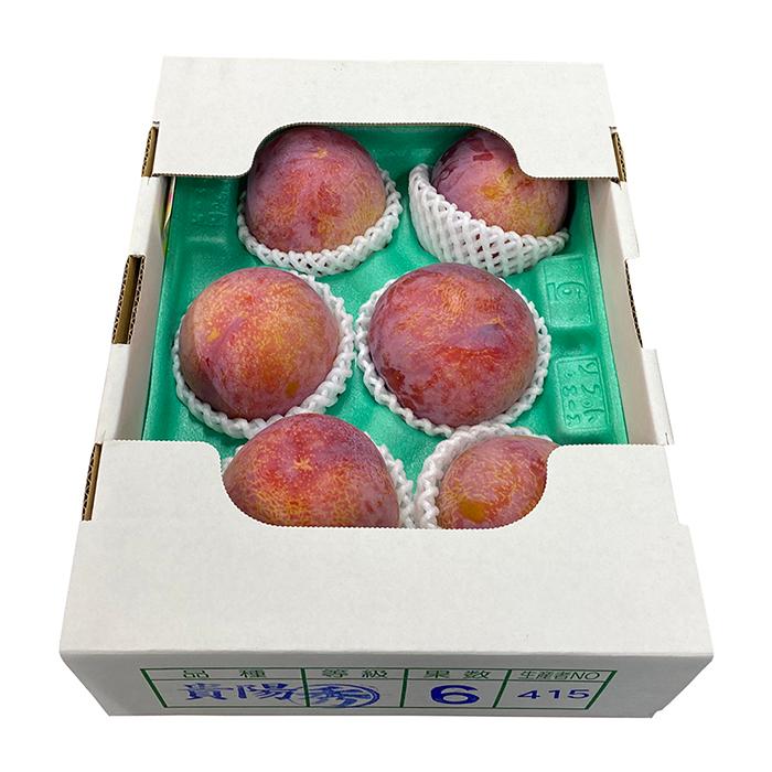長野県産 プラム 貴陽 秀品 6〜9玉入り 約1.5kg （箱） : 生鮮卸売市場