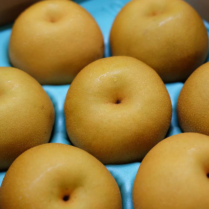 新鮮な豊水梨 約10kg 30玉前後 秀品 大玉 甘くてジューシー 豊水 10kg