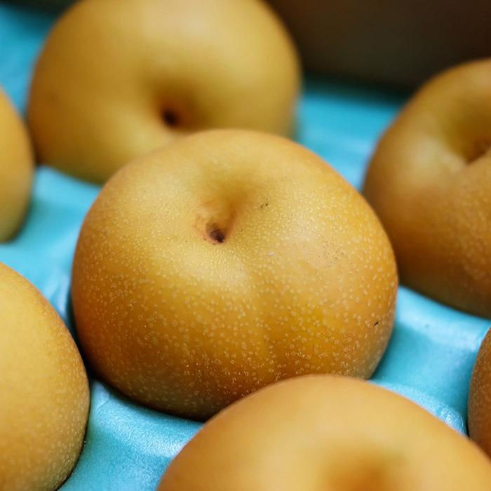 福島県産 梨 豊水 秀品 20〜28玉入 10kg（箱） : 生鮮卸売市場 - 通販
