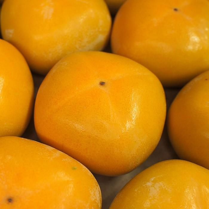 和歌山県産 種無し柿 秀品 Sサイズ （46玉入） 約7.5kg （箱） 種なし