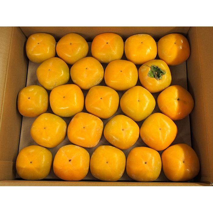 和歌山県産 種無し柿 秀品 Sサイズ （46玉入） 約7.5kg （箱） 種なし