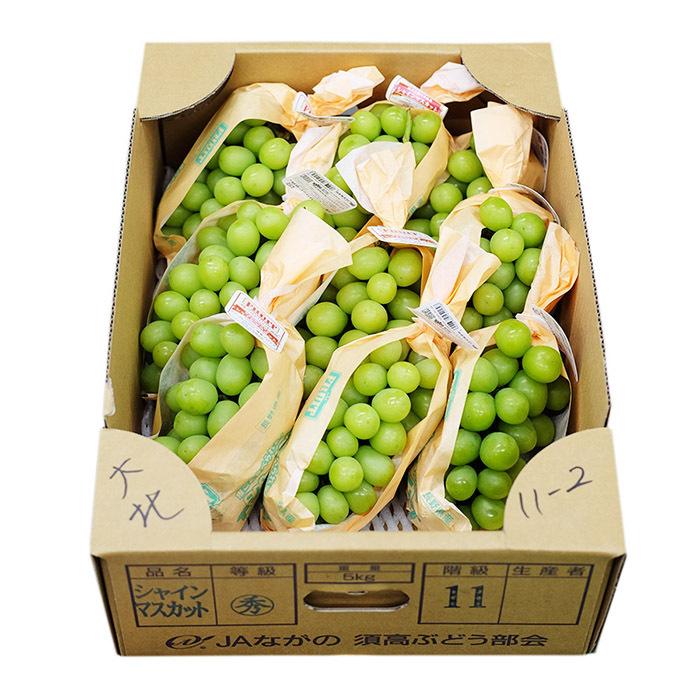 長野県産 シャインマスカット 秀品 5kg 9〜11房入り 国産 ぶどう