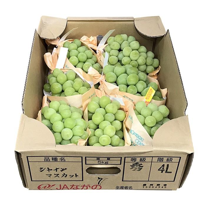 長野 シャインマスカット 約5kg 7-12房 楽天市場】【長野県産】シャインマスカット 5キロ (7〜10房入り