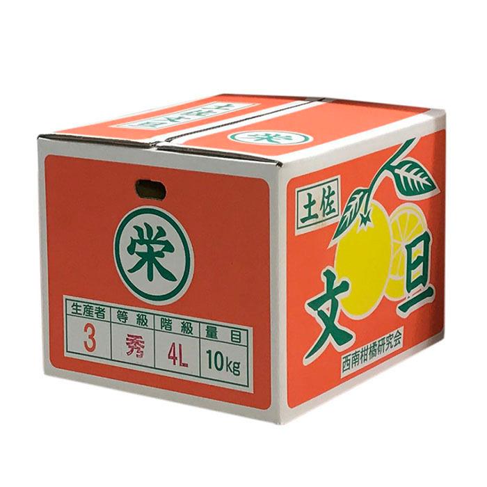 高知県産 土佐文旦 秀品 2L〜4Lサイズ 10kg （箱） 国産 柑橘