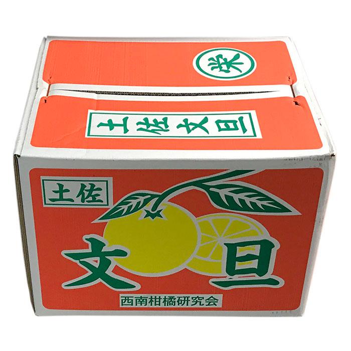 高知県産 土佐文旦 秀品 2L〜4Lサイズ 10kg （箱） 国産 柑橘 : 生鮮
