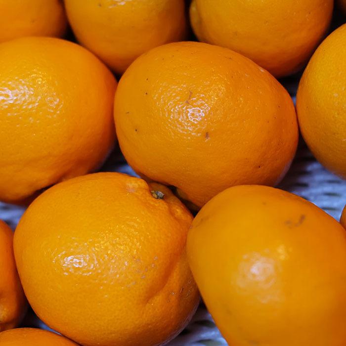 はるみ Mサイズ 10kg 和歌山産 秀品 由良仙人 はるみ Mサイズ 10kg 和歌山産 秀品 由良仙人 - メルカリ