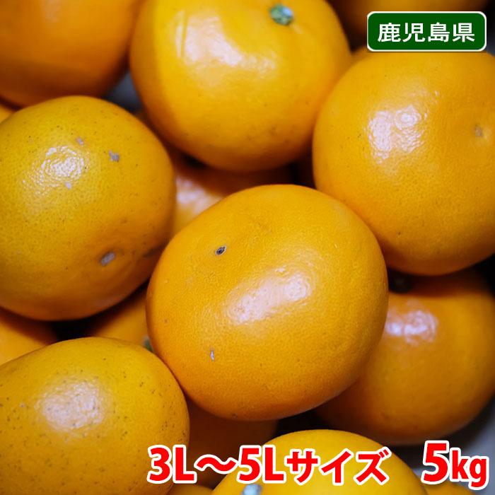みかんページ 天草 | みかん大事典 | みかんのことなら「のま果樹園