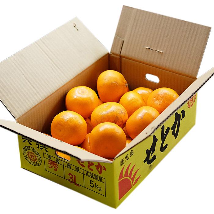 鹿児島県産 せとか 秀品 3L〜5Lサイズ 5kg （箱） 国産 みかん