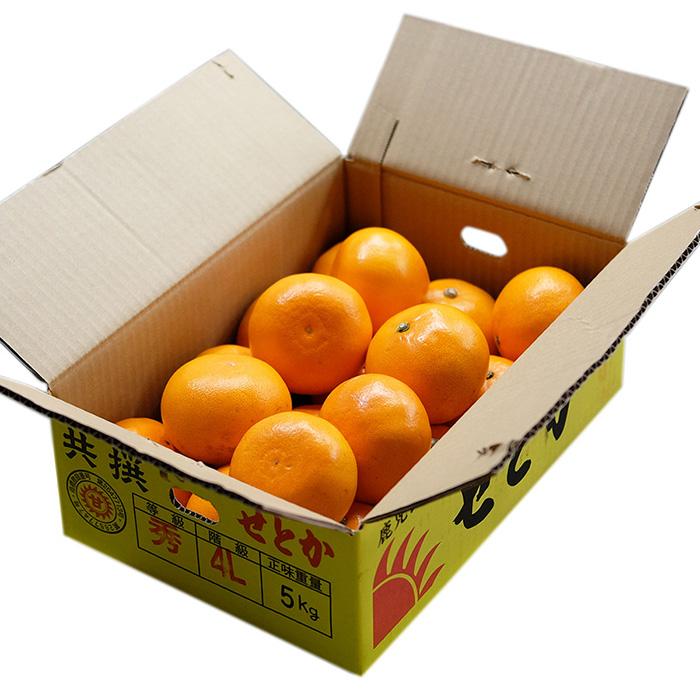 鹿児島県産 せとか 秀品 3L〜5Lサイズ 5kg （箱） 国産 みかん