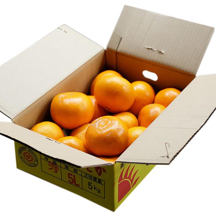 鹿児島県産 せとか 秀品 3L〜5Lサイズ 5kg （箱） 国産 みかん