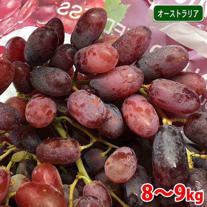 オーストラリア産 種無しぶどう クリムゾン（シードレス）約8