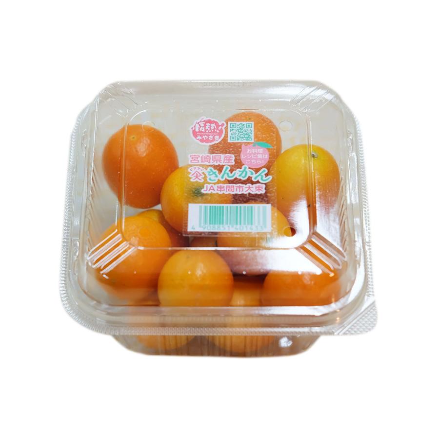 宮崎県産 金柑（きんかん） 秀品 2L〜3Lサイズ 15パック入（箱