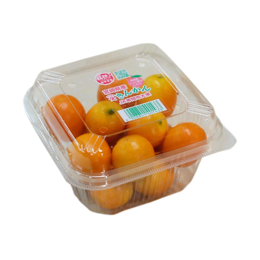 宮崎県産 金柑（きんかん） 秀品 2L〜3Lサイズ 約250g 1パック : 生鮮