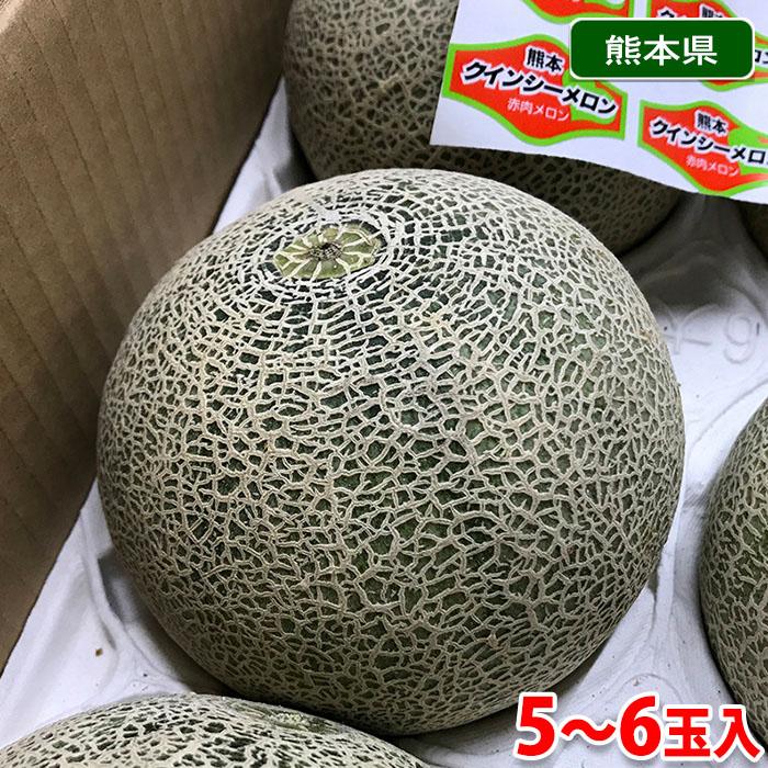 熊本県産 クインシーメロン （赤肉メロン） L〜2Lサイズ 5〜6玉入 約