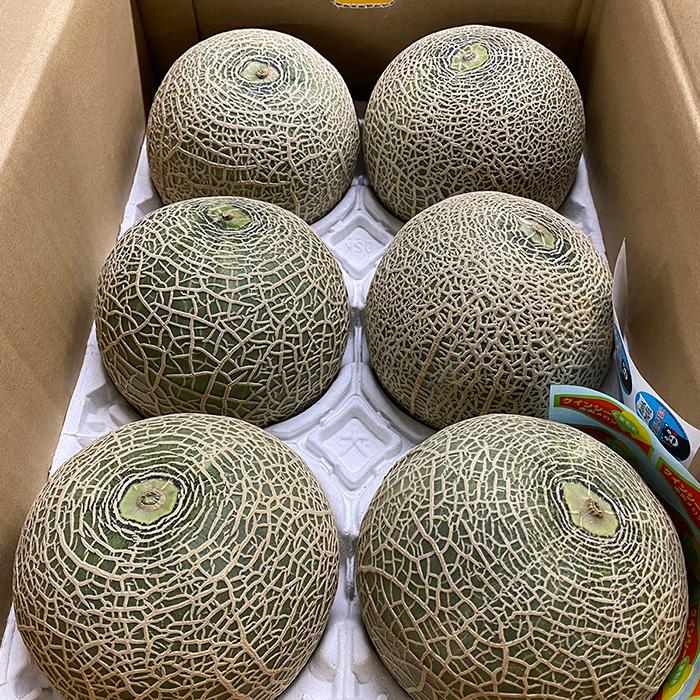 熊本県産 クインシーメロン （赤肉メロン） L〜2Lサイズ 5〜6玉入 約