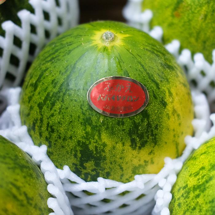 長崎県産 パパイヤメロン 秀品 7〜9玉入 （箱） 国産 メロン : 生鮮