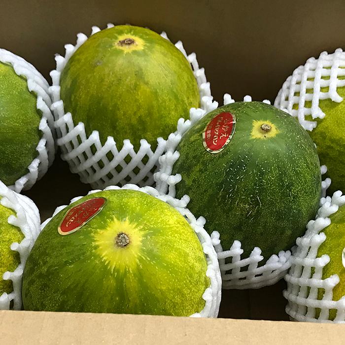 果物　メロン　パパイヤメロン　珍品　数量限定　初売　贈答　セール大容量 10kg 果物 メロン パパイヤメロン 珍品 数量限定 初売 贈答 セール 大