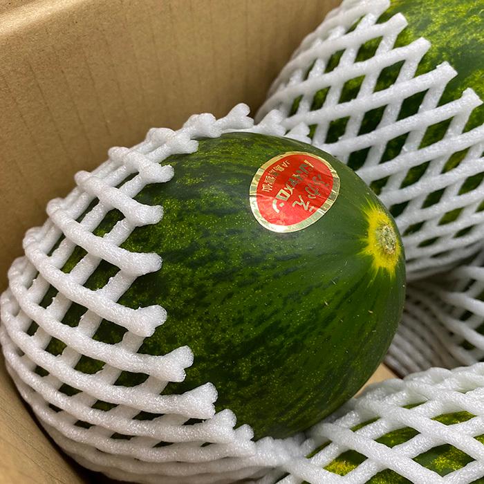 パパイヤメロン　2箱　14玉〜18玉 長崎県産 パパイヤメロン 秀品 5〜6玉入 （箱） : 生鮮卸売市場 - 通販