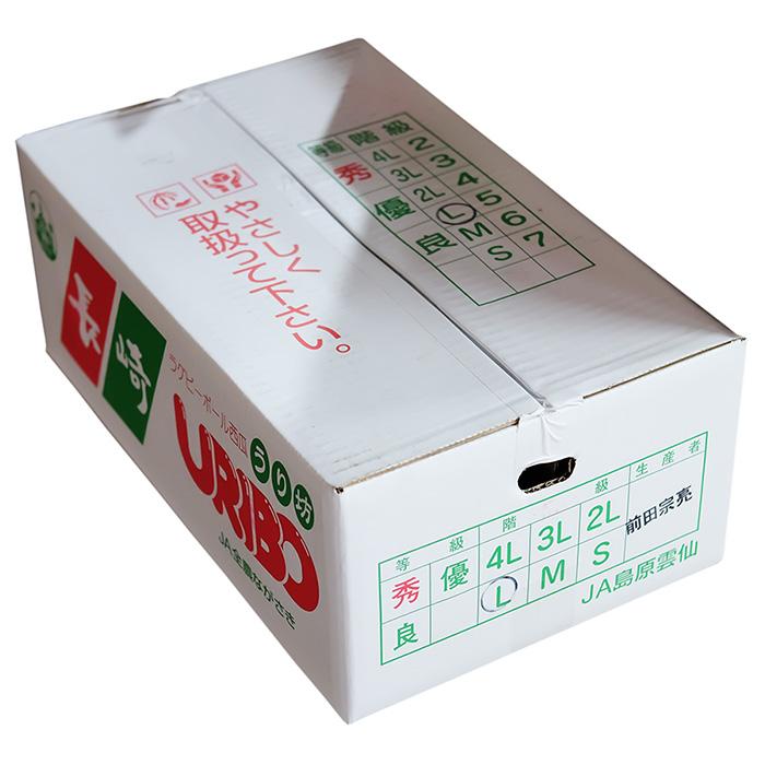 長崎県産すいか URIBO （うり坊） 秀品 5〜6玉入り （箱） : 生鮮卸売