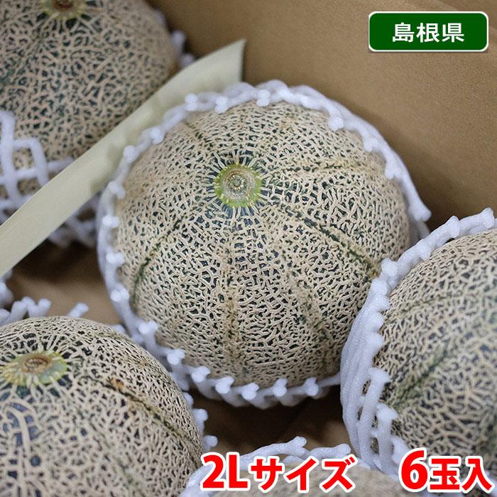 メロン 2Lサイズ 6玉入り 9kg 10kgアールスメロン 家庭用贈答も 豪華 島根県産 アムスメロン （益田メロン） 秀品 2Lサイズ 6玉入り （箱