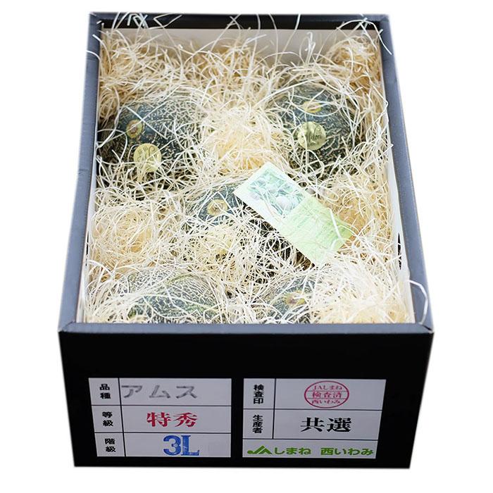 島根県産 アムスメロン （益田メロン） 特秀 3L〜4Lサイズ 4〜5玉入り