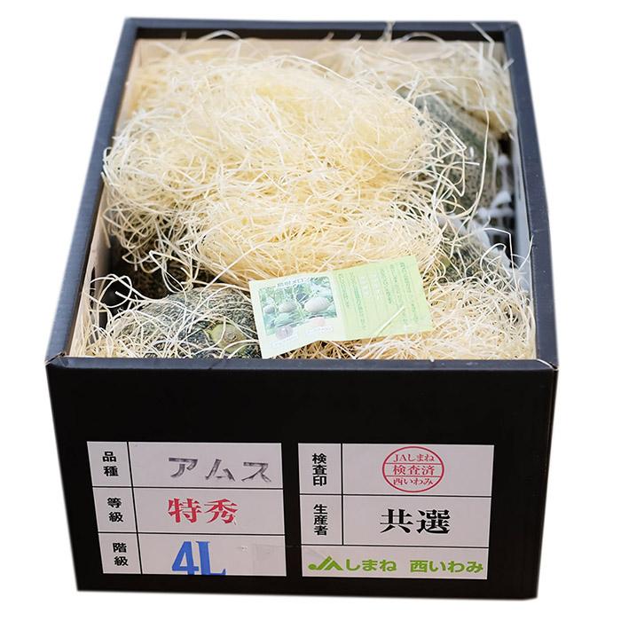 島根県産 アムスメロン （益田メロン） 特秀 3L〜4Lサイズ 4〜5玉入り