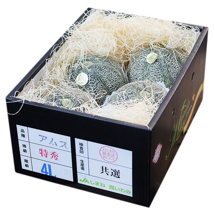 島根県産 アムスメロン （益田メロン） 特秀 3L〜4Lサイズ 4〜5玉入り