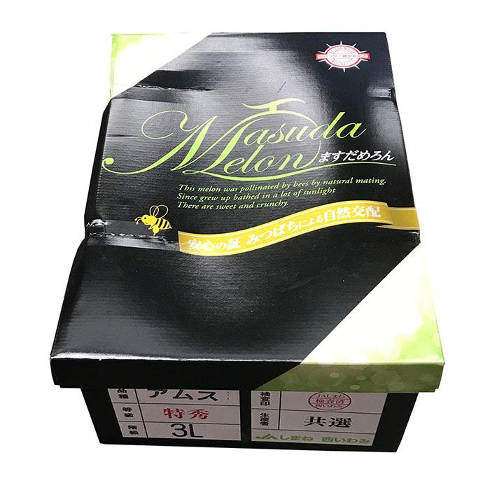 島根県産 アムスメロン （益田メロン） 特秀 3L〜4Lサイズ 4〜5玉入り
