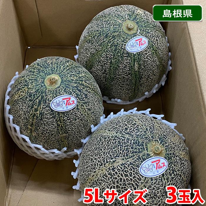島根県産 アムスメロン （益田メロン） 秀品 5Lサイズ 3玉入り （箱