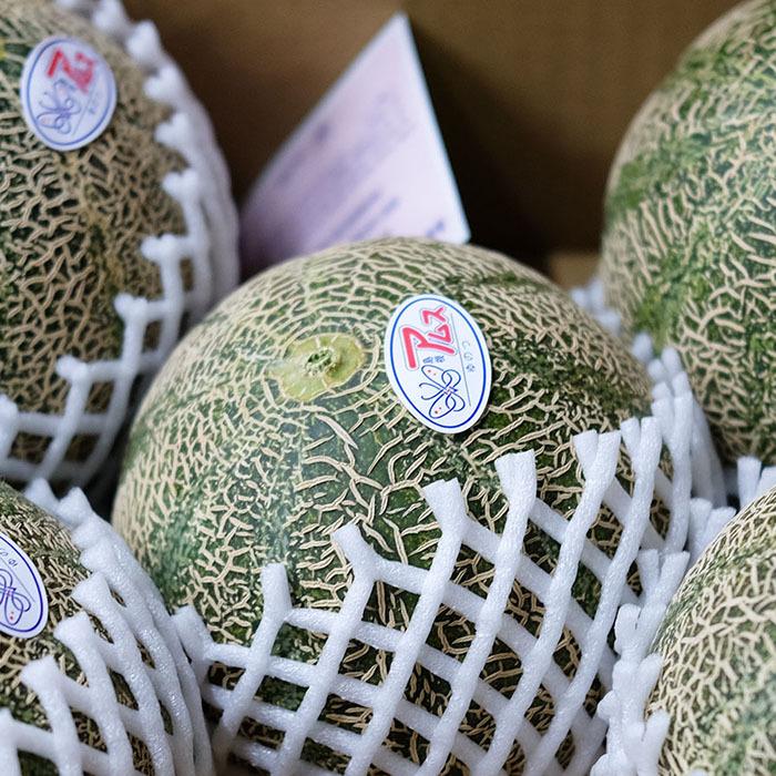 島根県産 アムスメロン （益田メロン） 秀品 3L〜4Lサイズ 4〜5玉入り