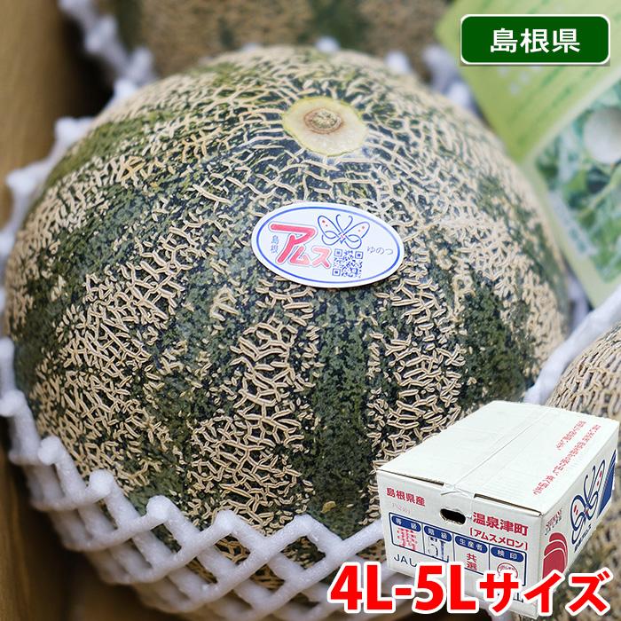 島根県産 アムスメロン 秀品 4L〜5Lサイズ 3〜4玉入り（箱） 国産