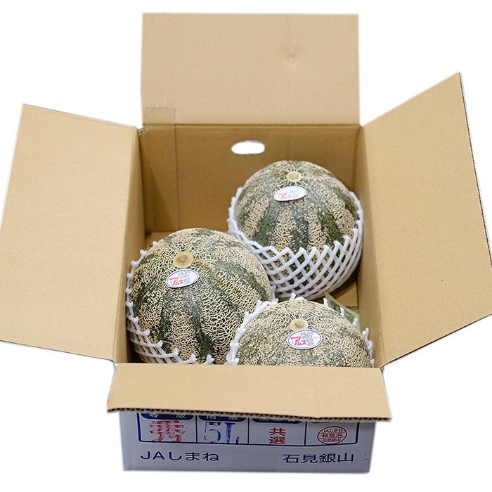 島根県産 アムスメロン 秀品 4L〜5Lサイズ 3〜4玉入り（箱） 国産