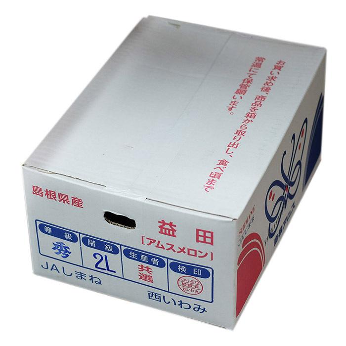 島根県産 アムスメロン （益田メロン） 秀品 2Lサイズ 6玉入り （箱