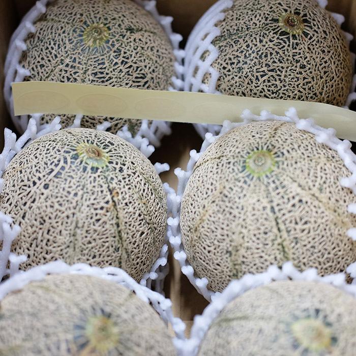 島根県産 アムスメロン （益田メロン） 秀品 2Lサイズ 6玉入り （箱