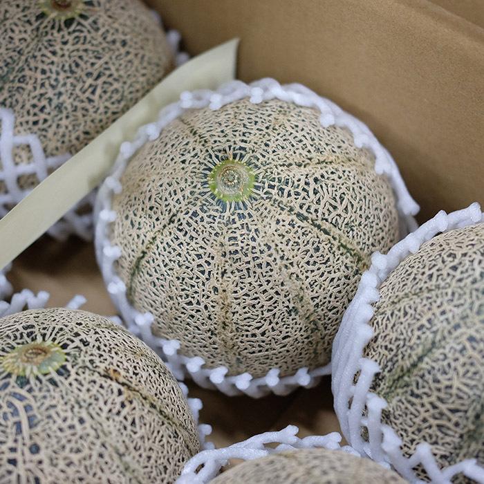 島根県産 アムスメロン （益田メロン） 秀品 2Lサイズ 6玉入り （箱
