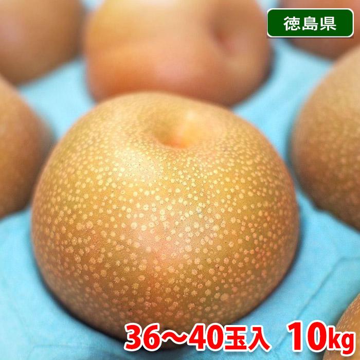 徳島県産 梨（なし）豊水 秀品 36〜40玉入り 10kg : 生鮮卸売市場