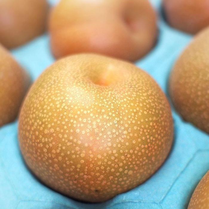 徳島県産 梨（なし）豊水 秀品 36〜40玉入り 10kg : 生鮮卸売市場