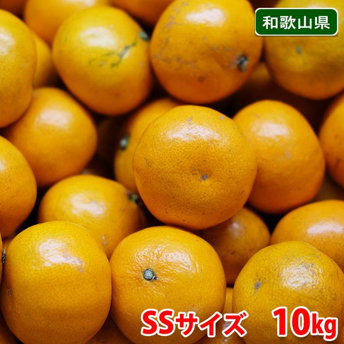 みかん グランフロント大阪店：8/1〜8/31 愛媛柑橘加工ブランド「10“TEN”」POP