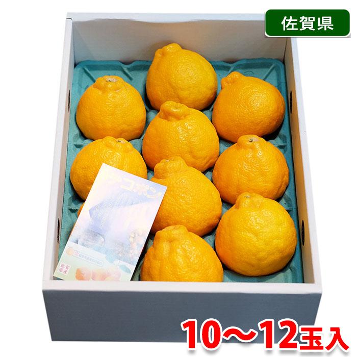 天　瀬戸田産　秀品デコポン　箱込み10kg 楽天市場】デコポン 訳あり 3kg・5kg・10kg 尾道 瀬戸田産 家庭用