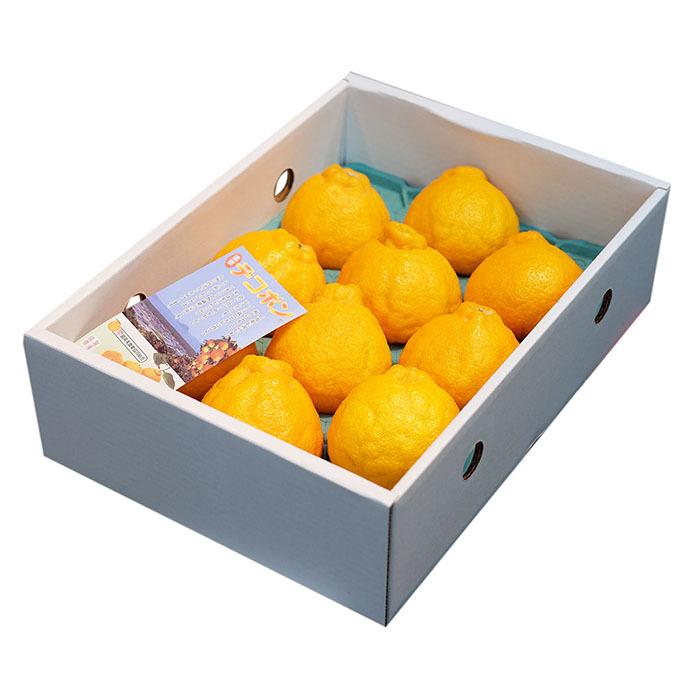 佐賀県産 デコポン 秀品 10〜12玉入（化粧箱） : 生鮮卸売市場 - 通販