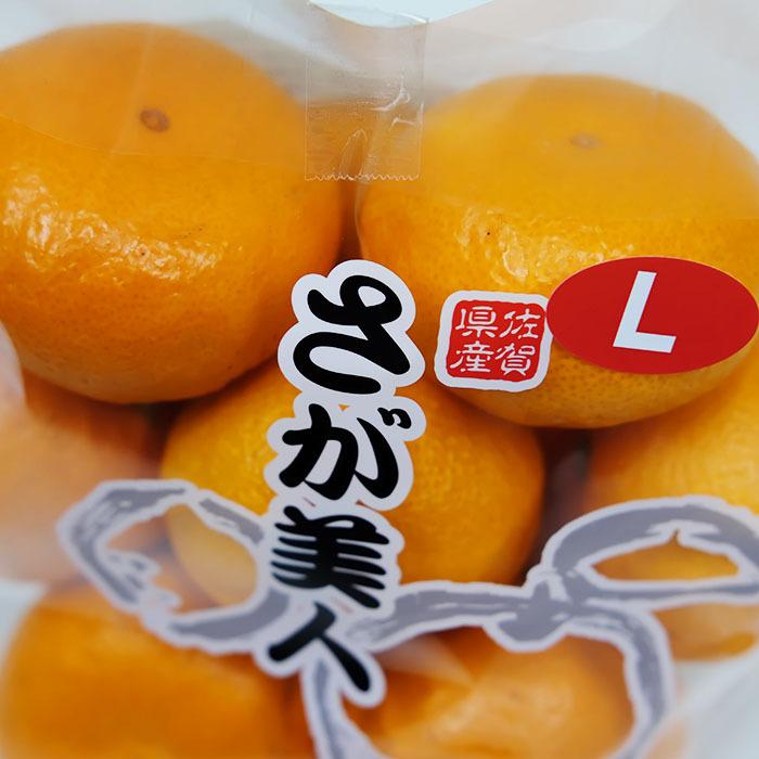 佐賀県産 温州みかん さが美人 秀品 M〜Lサイズ 約1kg（10玉前後