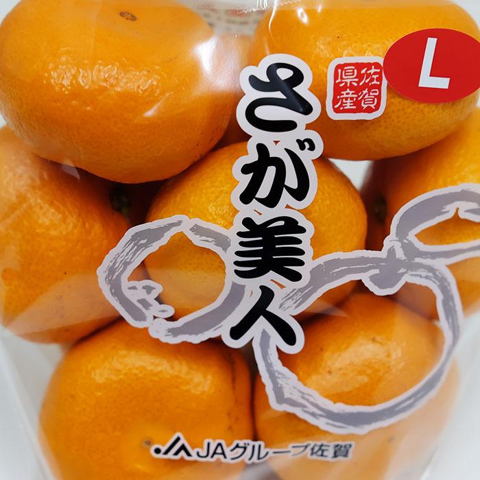 佐賀県産 温州みかん さが美人 秀品 M〜Lサイズ 約1kg（10玉前後