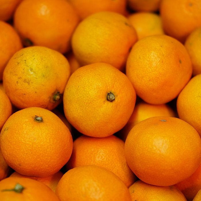 佐賀県産 みかん プレミアム 天山 秀品 2S〜Sサイズ 5kg（箱） : 生鮮