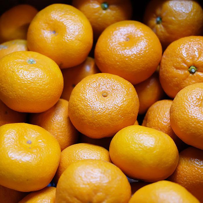 佐賀県産 みかん プレミアム 天山 秀品 M〜Lサイズ 5kg : 生鮮卸売市場