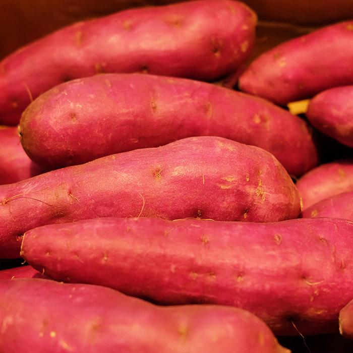 千葉県産（JAかとり）さつまいも パープルスイートロード 秀品 Mサイズ