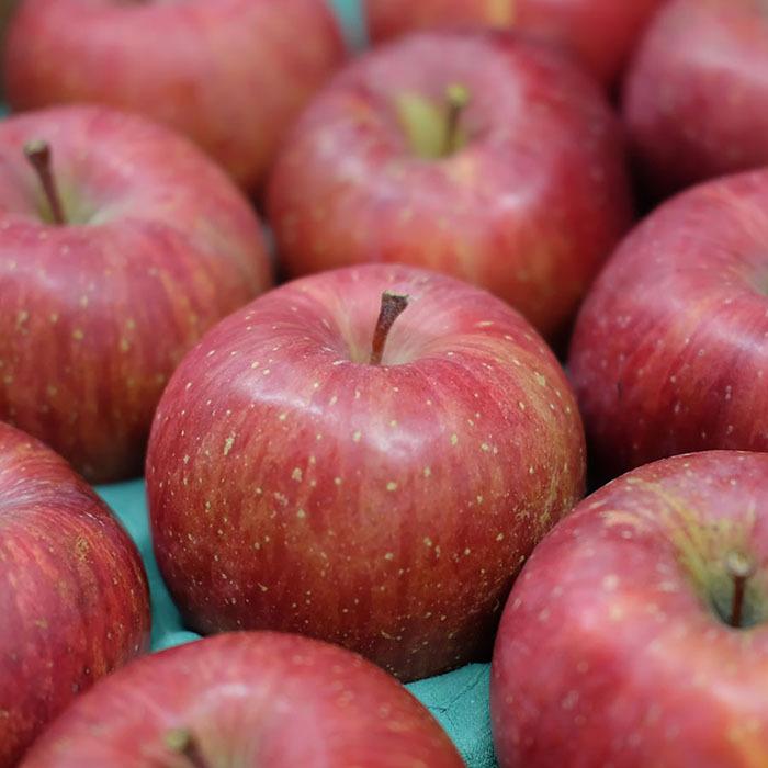 青森県産 サンふじ 甚八りんご 36〜40玉サイズ 10kg : 生鮮卸売市場