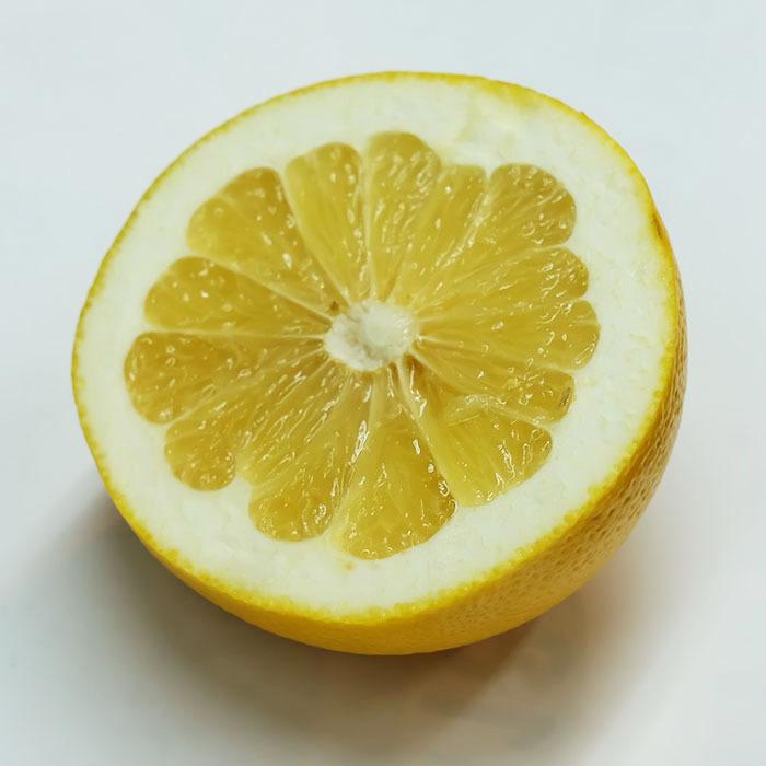 激レア‼️和歌山県産　木熟メロゴールド 25-27玉入り 10kgみかんキング 楽天市場】黄金の果実 木熟メロゴールド あふれる果汁 感動の