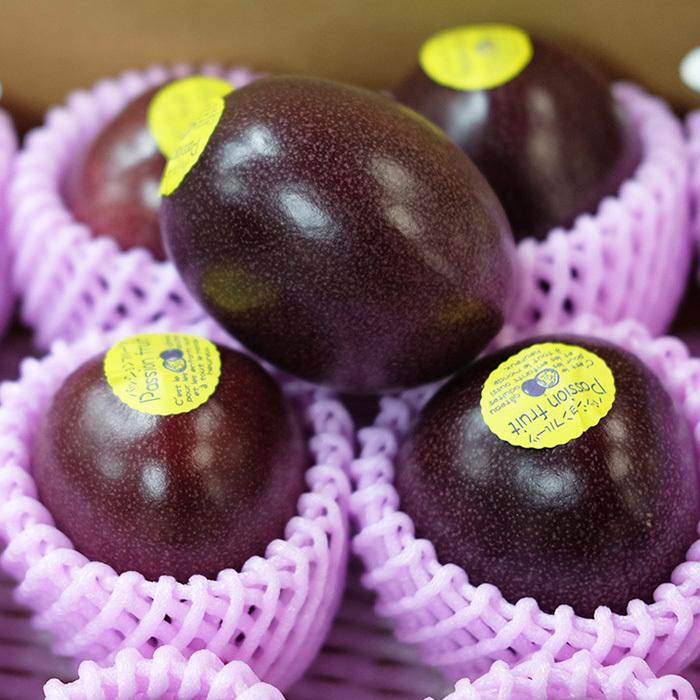 沖縄県産 パッションフルーツ 秀品 M〜Lサイズ 11〜12玉入 （化粧箱