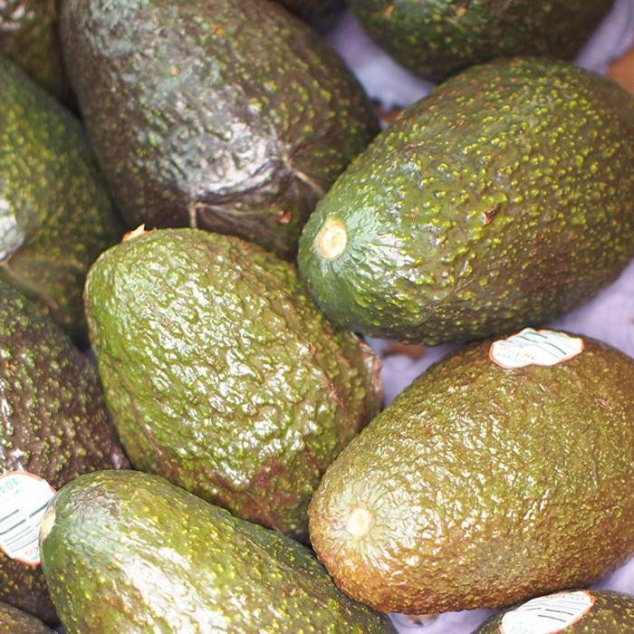 メキシコ産 アボカド 24〜30玉入り （箱） : 生鮮卸売市場 - 通販